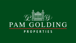 Pam-Golding-logo